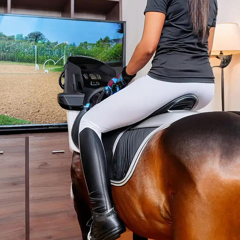 8 / 8: Visionen für Reitsimulatoren der Zukunft 8 / 8: Visionen für Reitsimulatoren der Zukunft